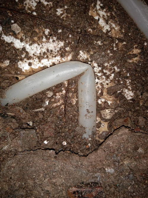 紫金堵点精准查找